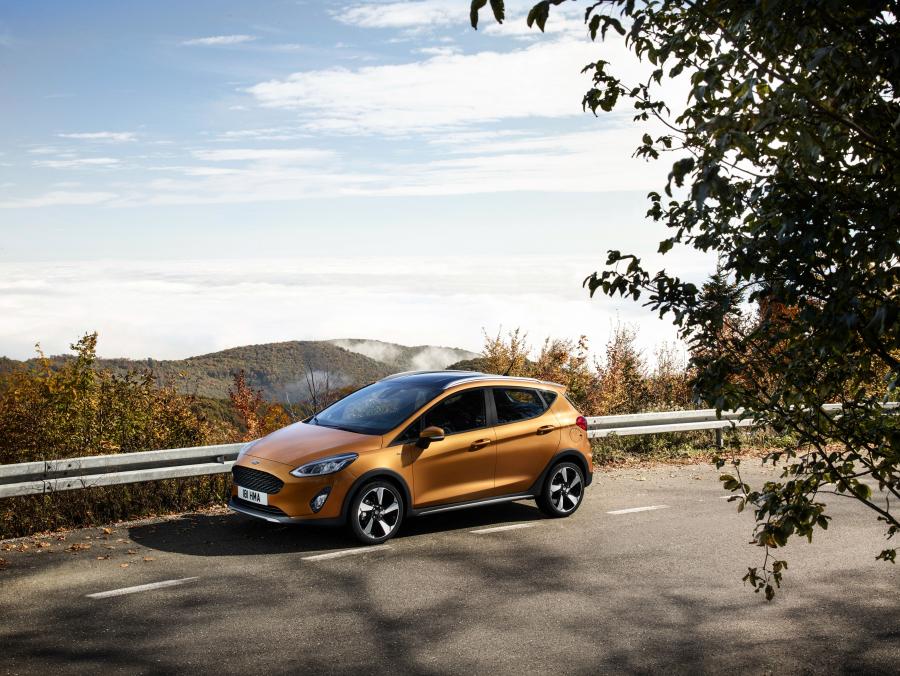  Ford Fiesta Active 2017 года  (WW) (фото 9 из 37)